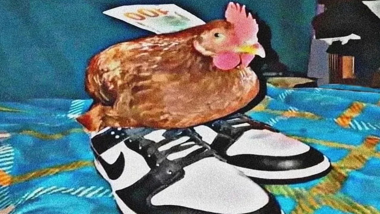AQUÍ HAY HUEVOS