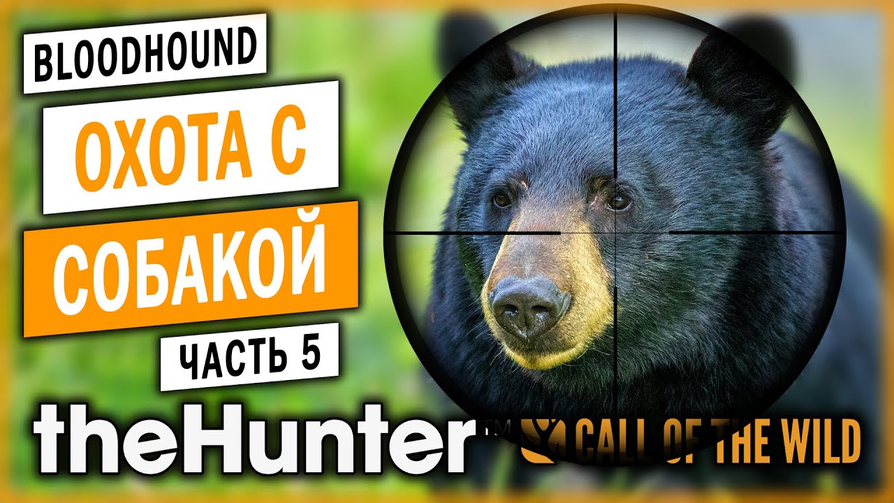 theHunter Call of the Wild #5 🐶 - НОВАЯ ЭКСПЕРИМЕНТАЛЬНАЯ ОХОТА! - Охота с Собакой (2021)