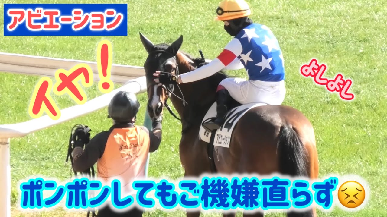 ポンポンされてもご機嫌ナナメなままのアビエーション