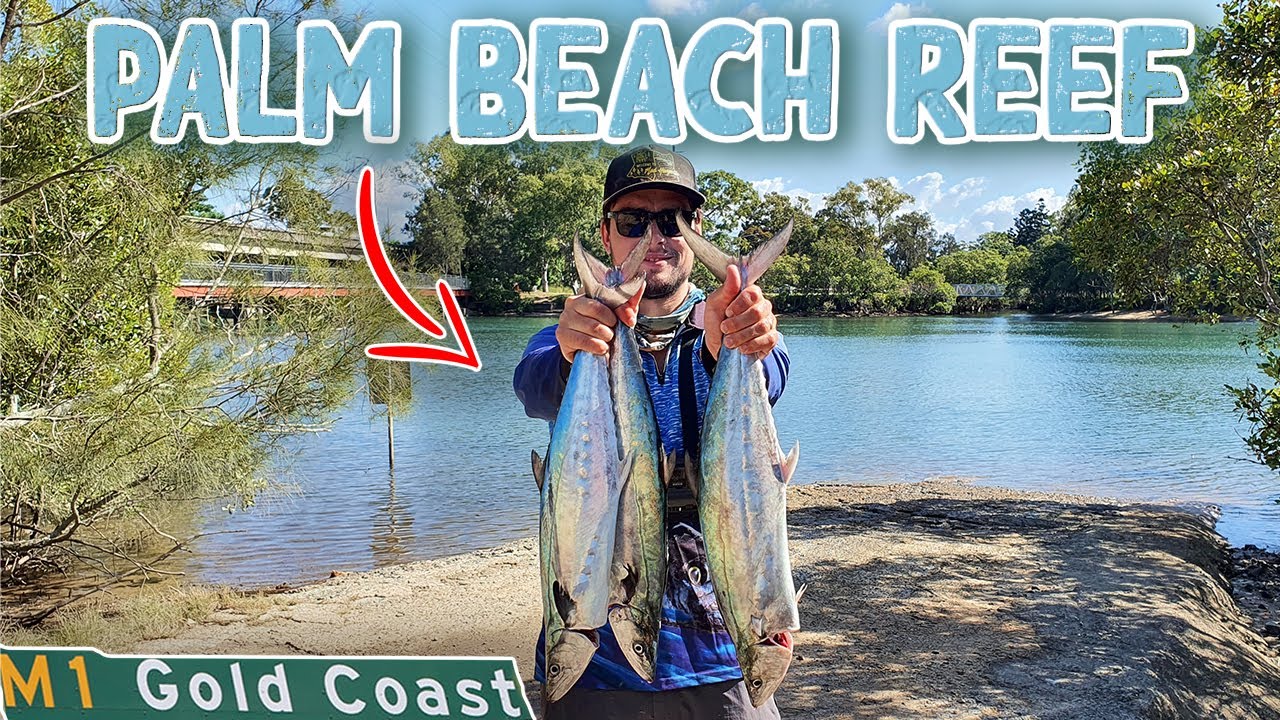SPEED | Reef Fishing in a Tinny | Gold Coast Australia