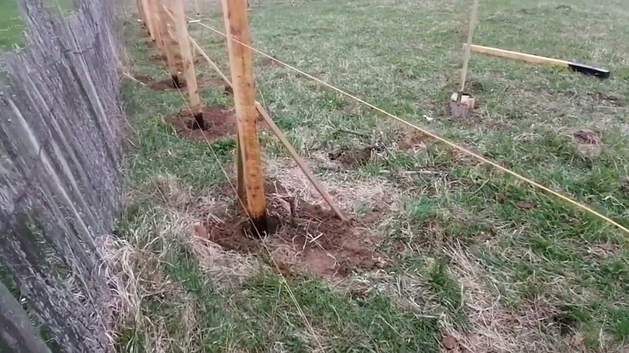 Gard din lemn, construit in natura, ultima latura. Wooden fence built in nature, the last side