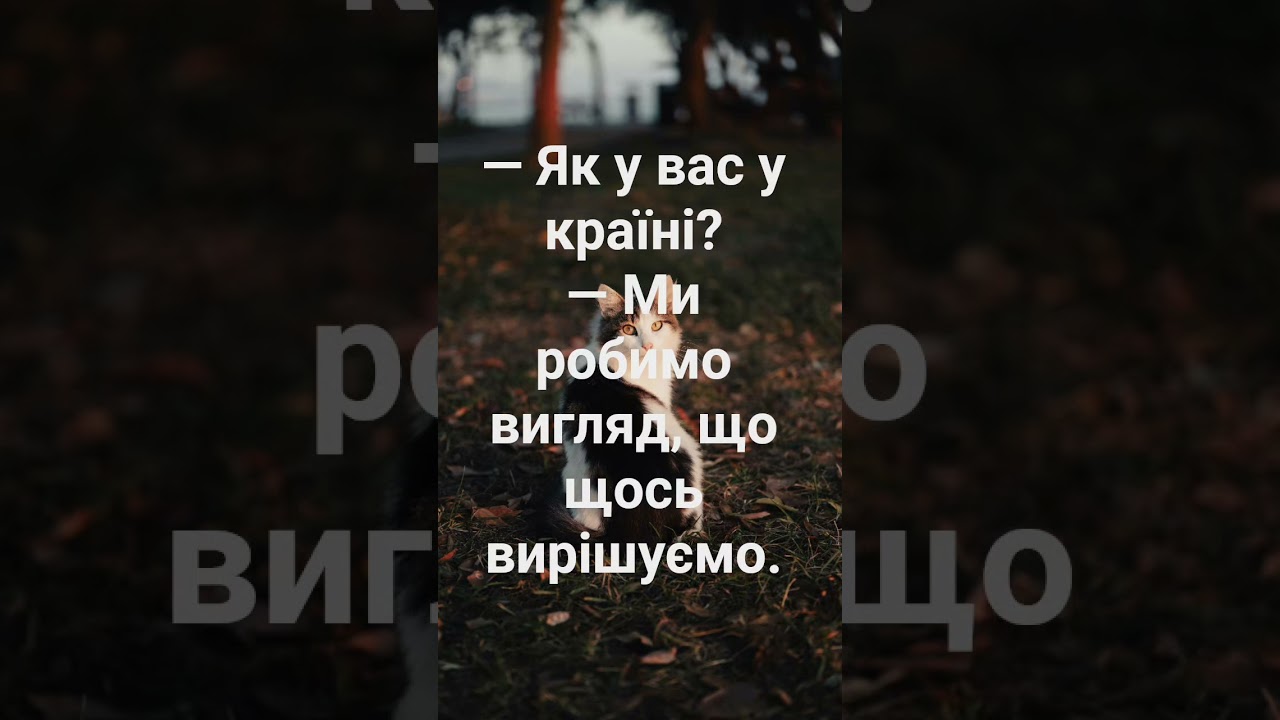 Правда життя за 7 секунд