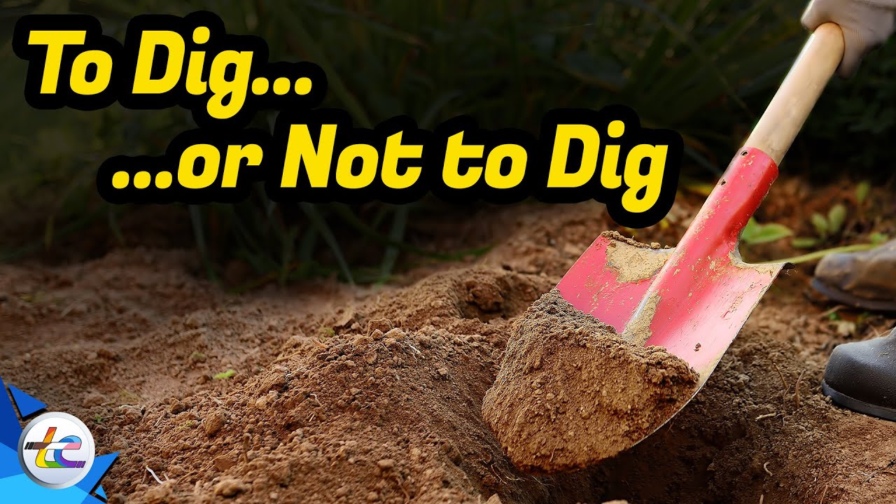 Transport Evolved Kitchen and Garden Update: To Dig - Or Not To Dig?
