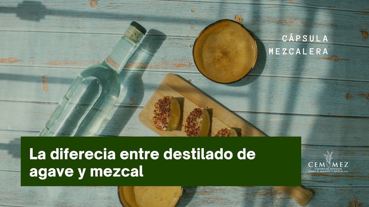La diferencia entre destilado de agave y mezcal
