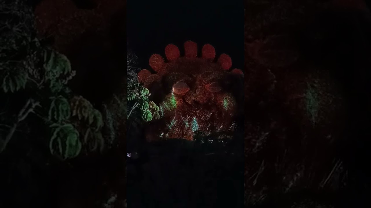 Terra Nocta  Terra Botanica..spectacle Nocturne ..Je suis un arbre extrait