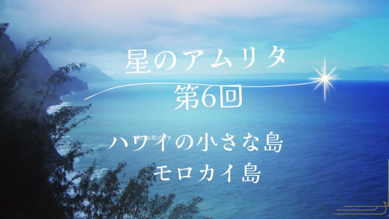 ハワイの小さな島モロカイ島　星のアムリタ第６回　子供の鯨と古代フラに遭遇する旅　#ハワイ#ヒーリング #多幸感 #心のバランス #アロハスピリット#周波数 