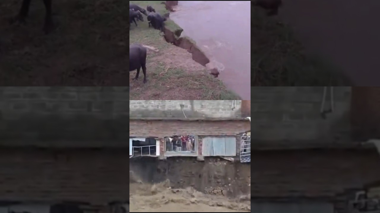 River Flood News |Pakistan River Flood News|