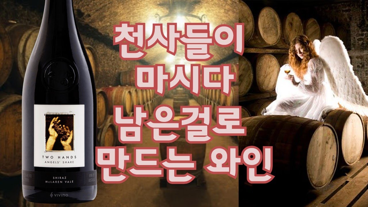[#27] 유명한데에는 이유가 있긴하다 Two Hands Angel's Share Shiraz