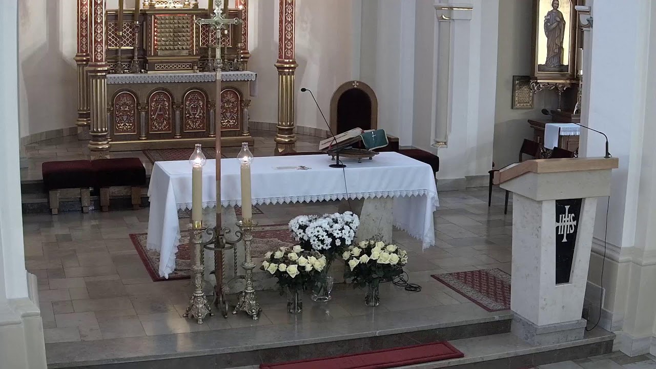 8.02.2026 r. - 8.00  Msza św. - V Niedziela zwykła