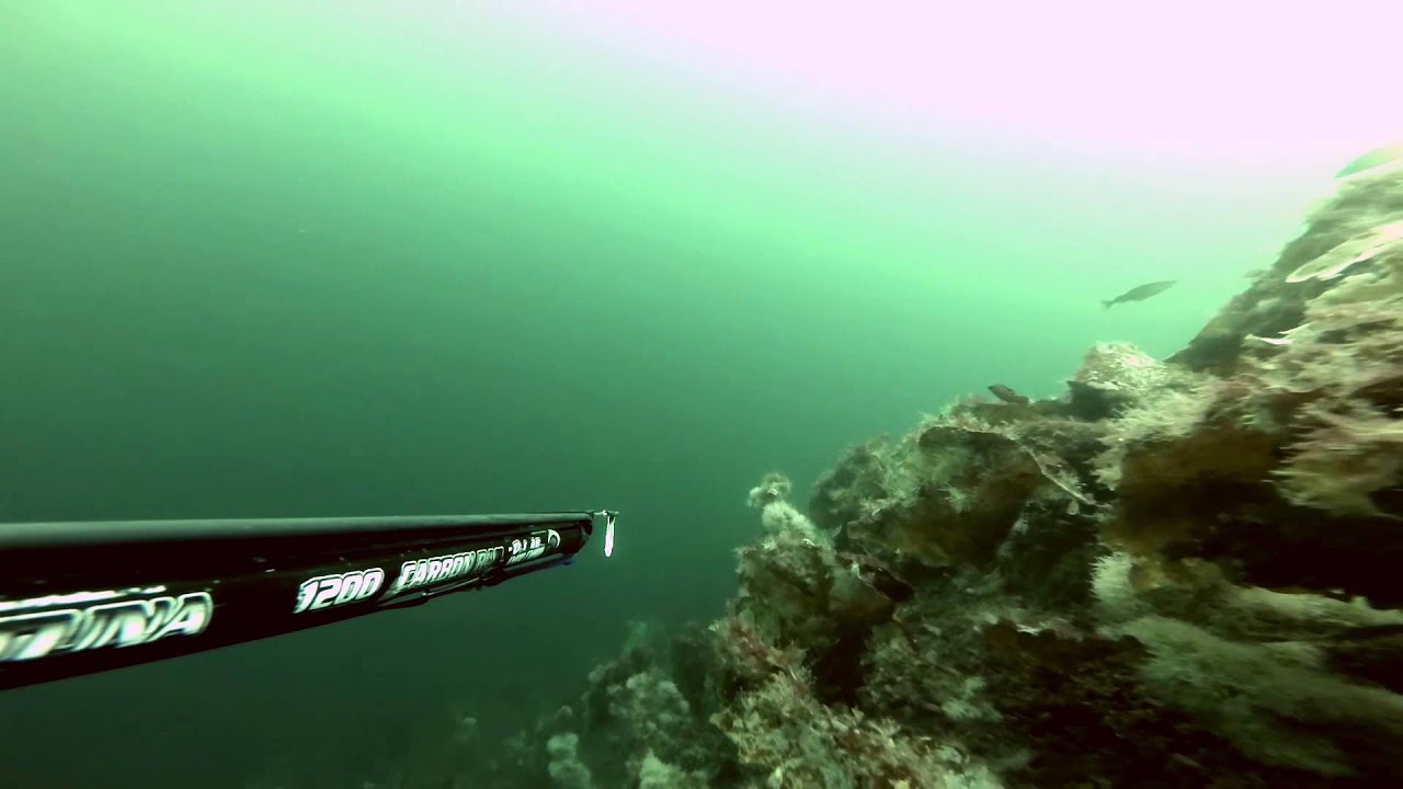 Spearfishing Norway - Stord
