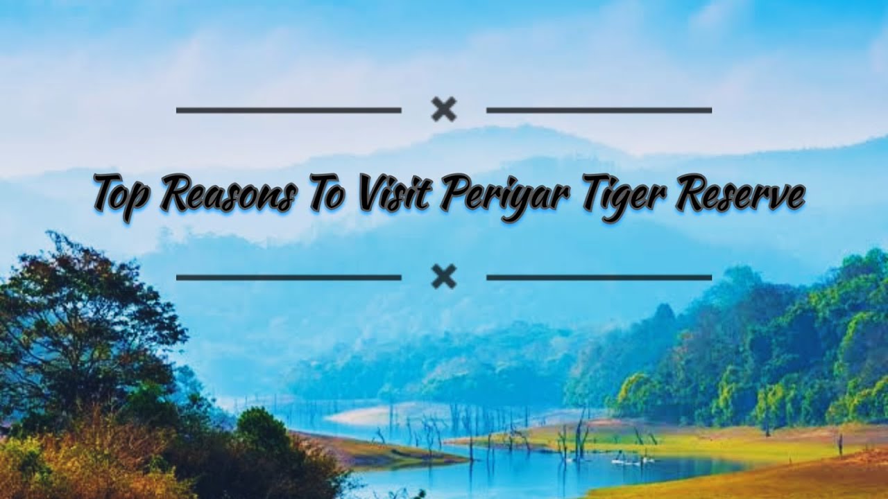Top Reasons to Visit Periyar Tiger Reserve | Explore the Wild!