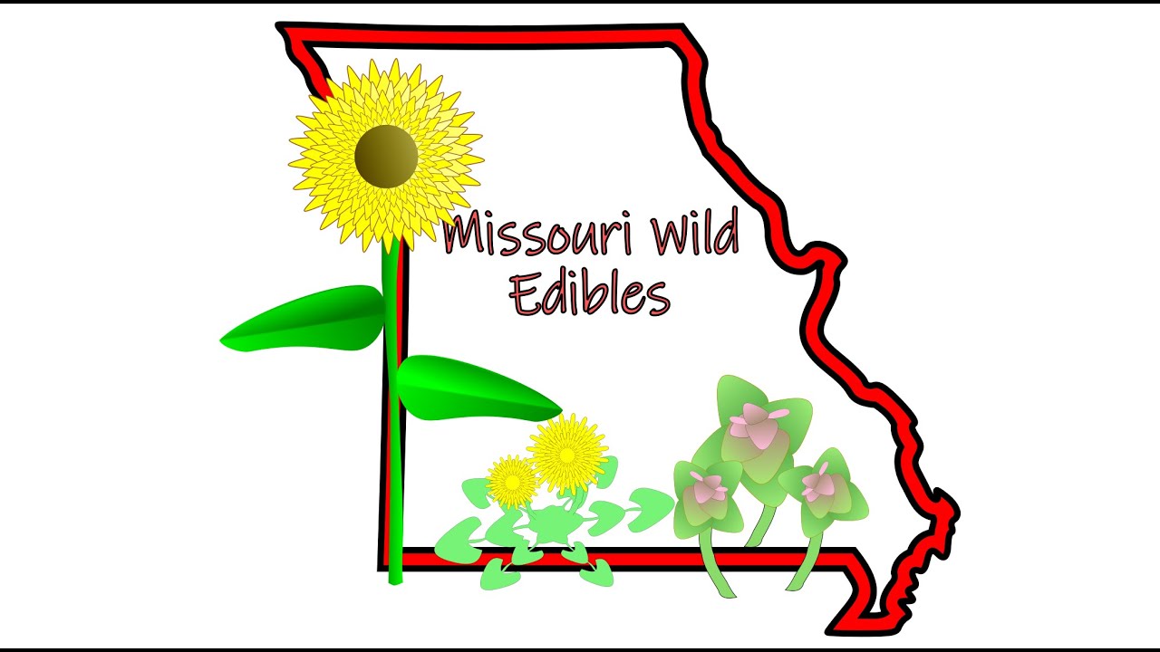 Missouri Wild Edibles