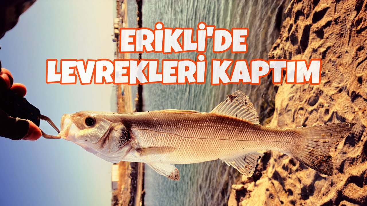 Edirne Erikli’de LRF Levrek Avı | Yakala ve Pişir | Ağustos 2025