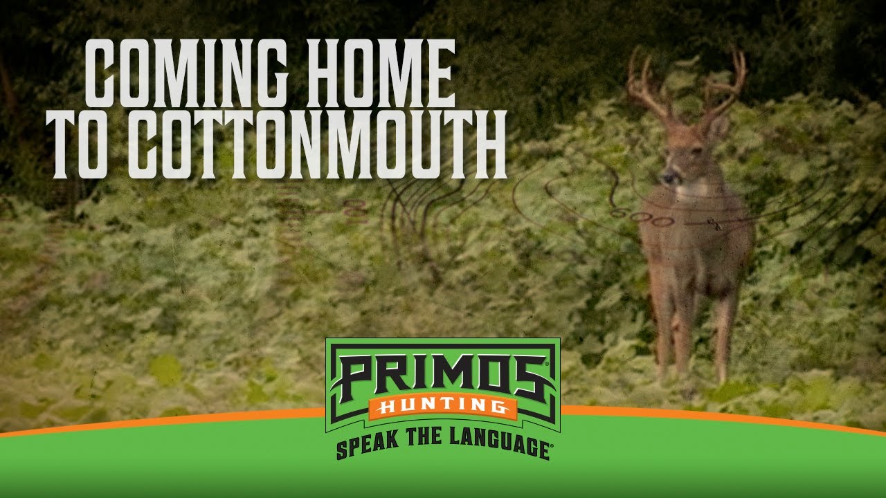COMING HOME TO COTTONMOUTH!!