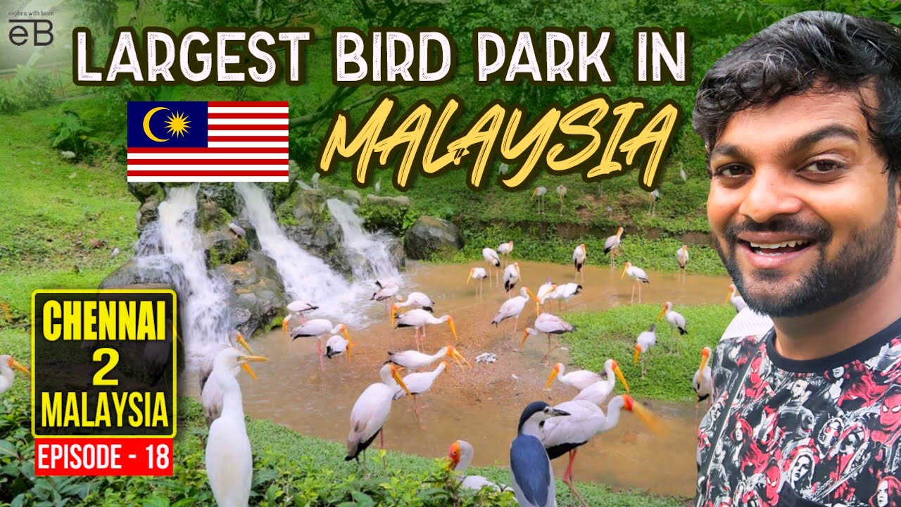 Largest Bird Park in Malaysia | Taman Burung, Kuala Lumpur | Malaysia | Explore With Bavin
