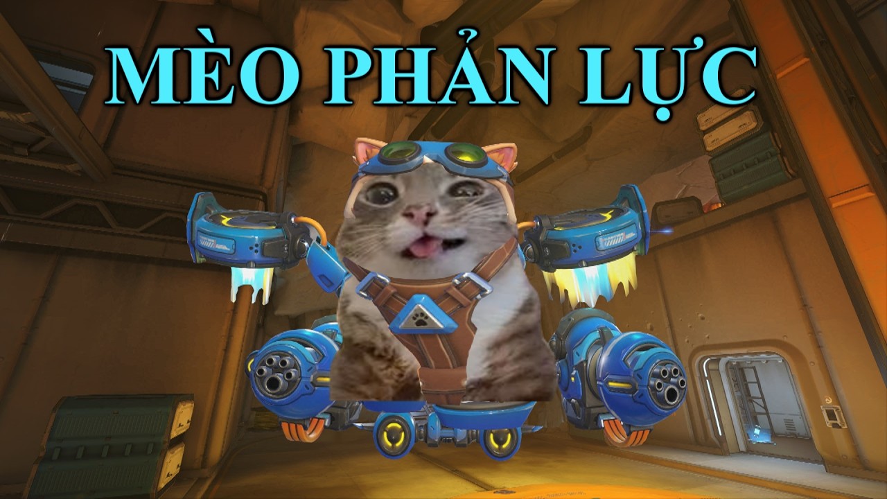 Hero mới của Overwatch là một...... CON MÈO | và nó rất vui