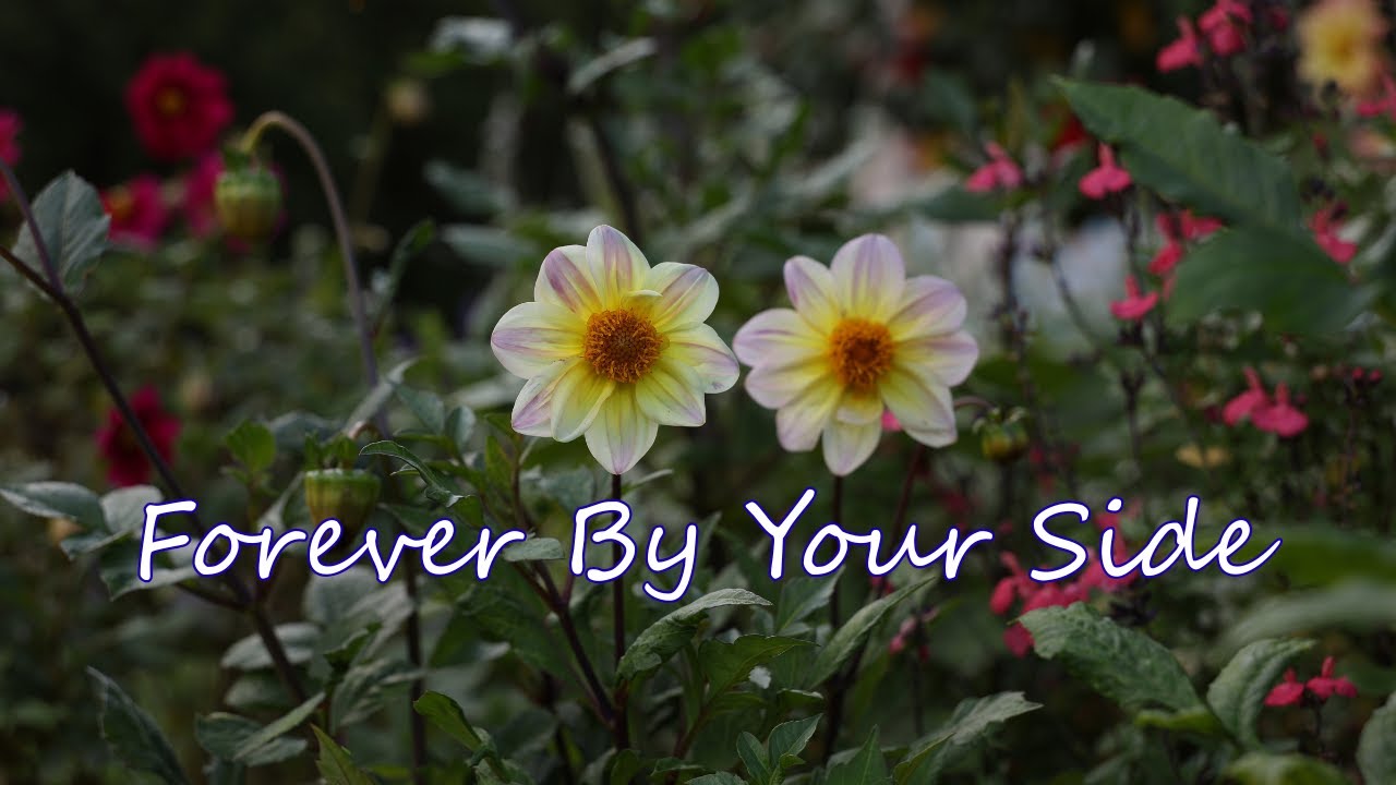 Forever By Your Side (Remix) | Emotional Supportive Love Song (Official Audio)
