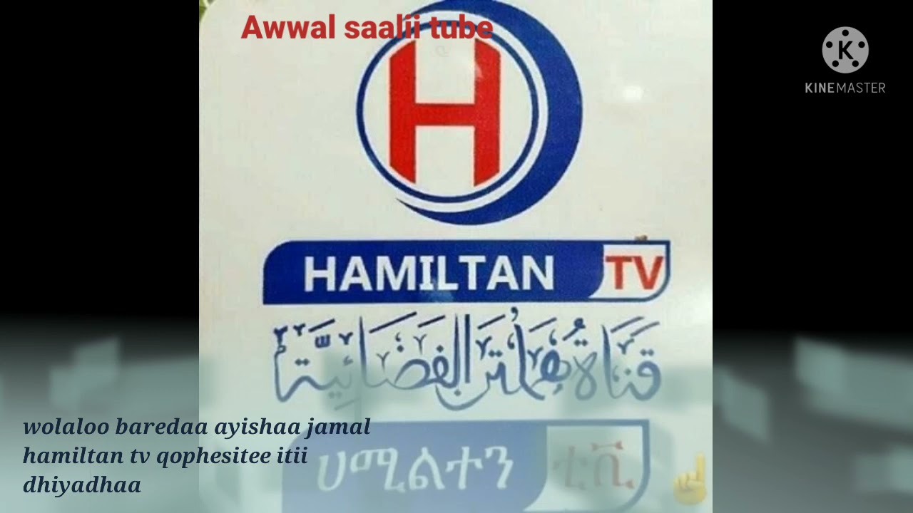 wollaloo hamiltan tv Kan ayishan jamal qophesitee itii dhiyadhaa bayye  namatii tollaa sher godha