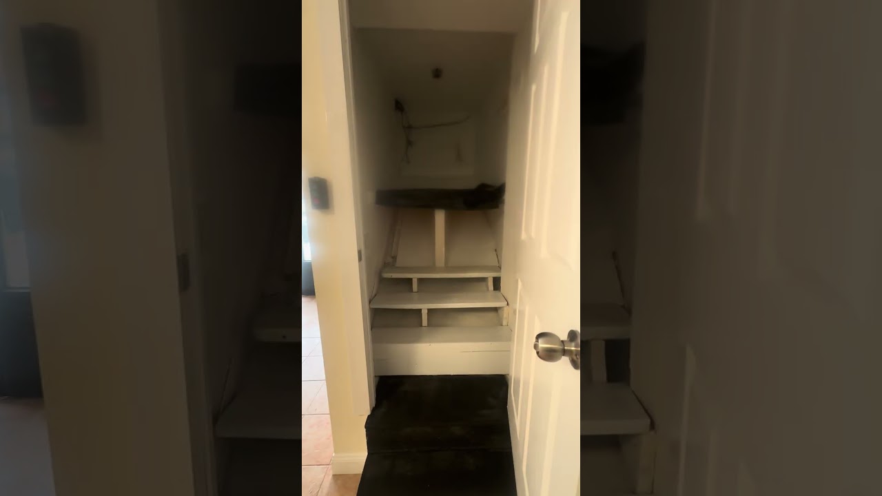 252 S 4th street Video