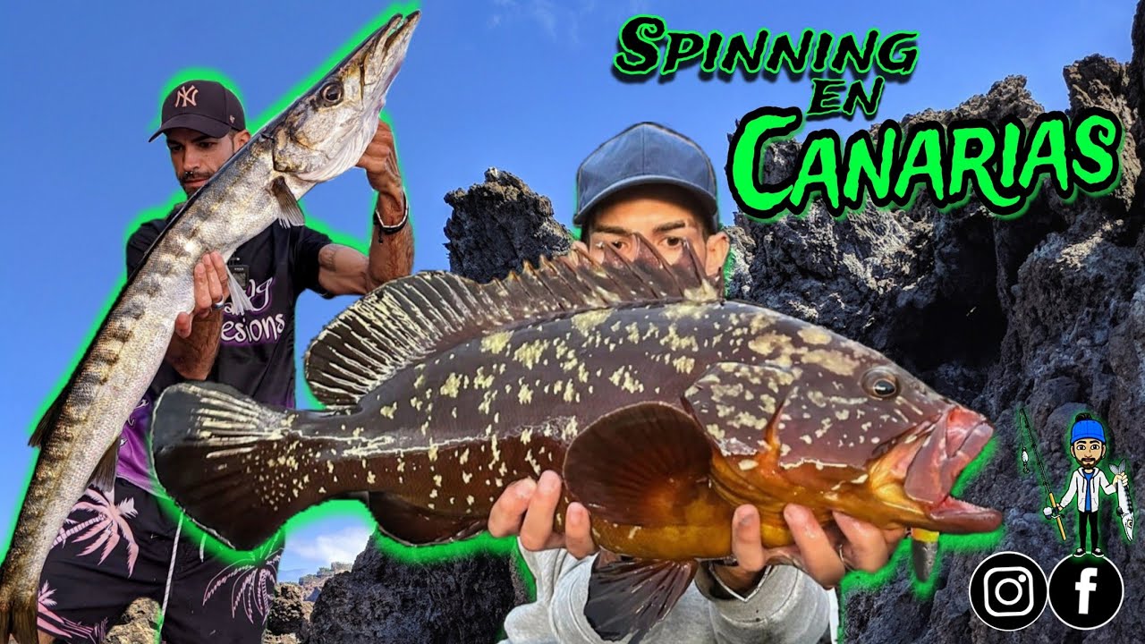 💥Spinning en Canarias🎣💥Mero, Bicuda, Samas, Abades💥
