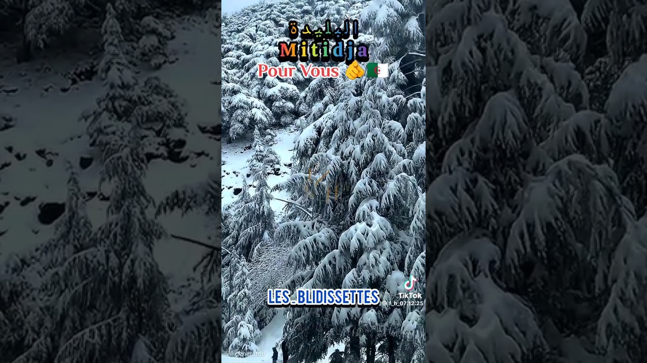 ٩ مارس ٢٠٢٦