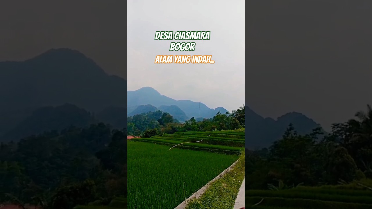 Desa 𝘾𝙄𝘼𝙎𝙈𝘼𝙍𝘼 , Ciasihan pamijahan BOGOR.. desa yag hijau asri dan indah