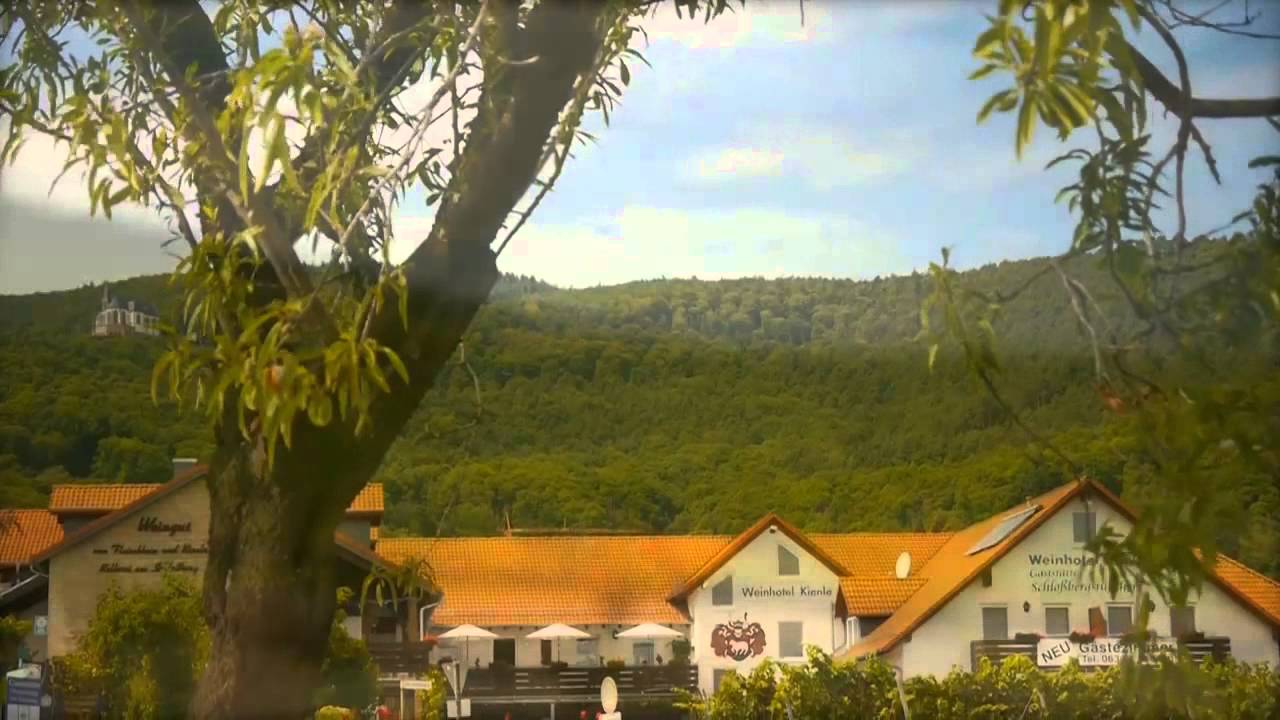 Weingut - Weinhotel von Fleischbein & Kienle in Burrweiler  Pfalz