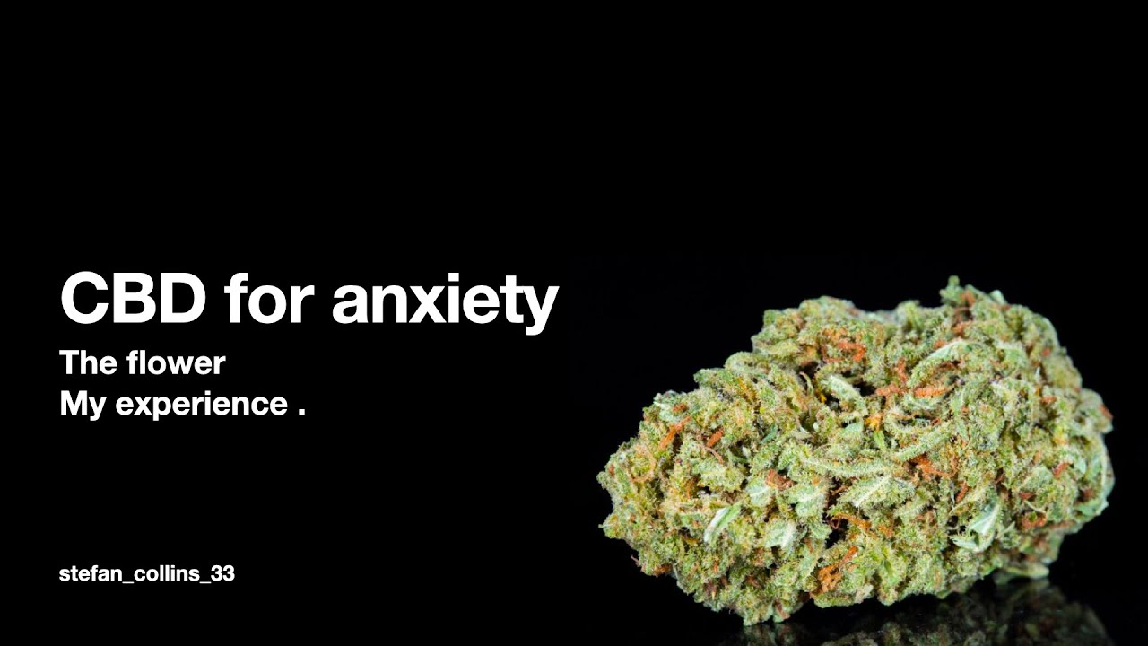 CBD Flower (Bud) for Anxiety | My Experience before and after taking the drug 🌱