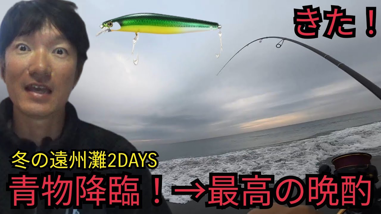 【冬の遠州灘サーフ2DAYS】『奇跡の一投』ミノーに青物降臨！🎉エサ釣りではキスが爆釣！🎣【獲れたて新鮮料理で晩ご飯】が最高すぎた🍺🤤