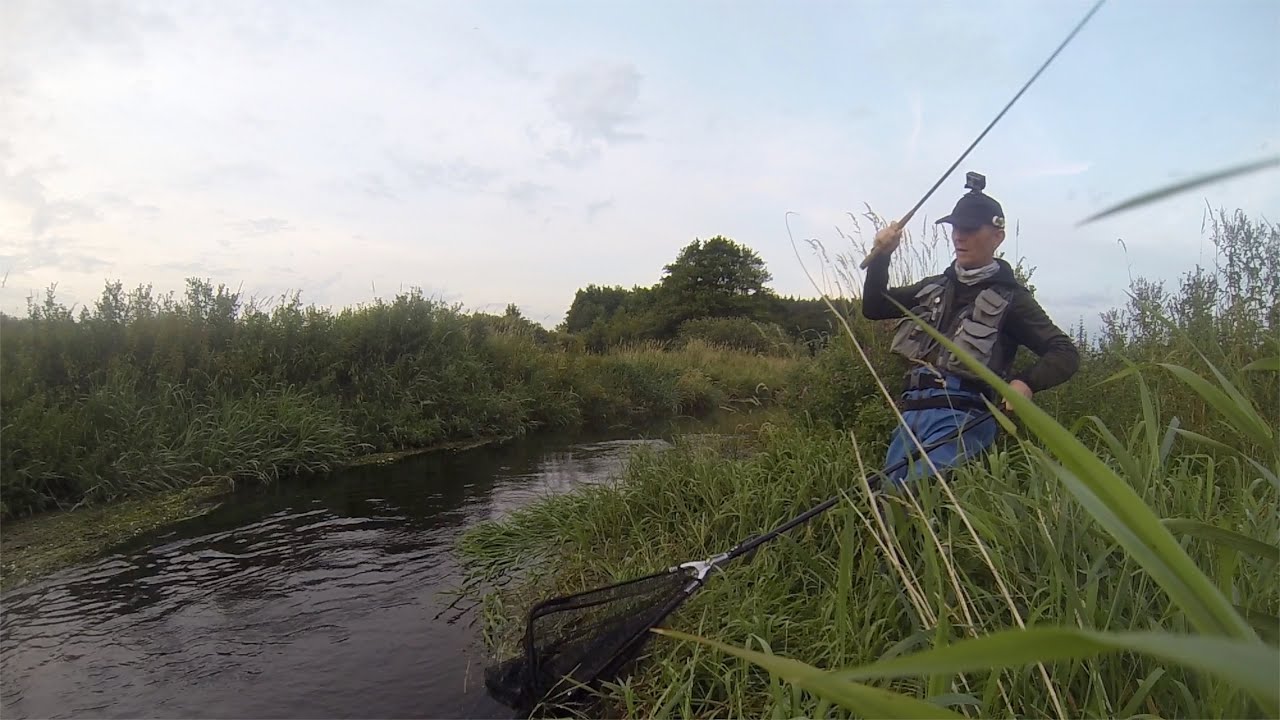 Tørflue tid i Lerkenfelt Å 2021