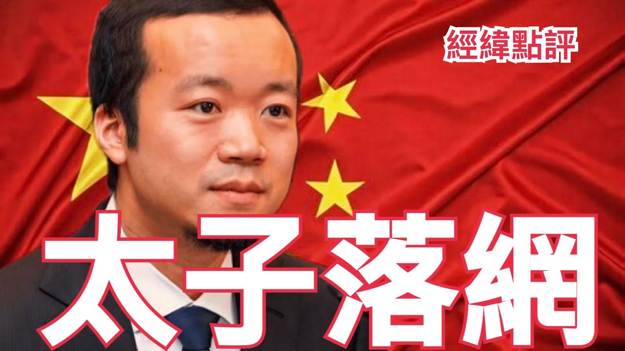 【經緯點評】陳志被捕押送中國 他到底是誰？一次解讀詐騙、賭博、洗錢手法大破解 太子集團「從零到富可敵國」  David&rsquo;s Show 2026/01/08