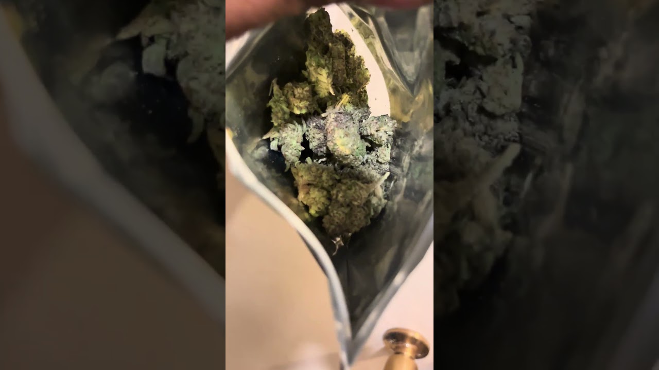 ⚡ “Black Friday THCA Drop! Purple Diesel Indica Hybrid bfcm 🔥”