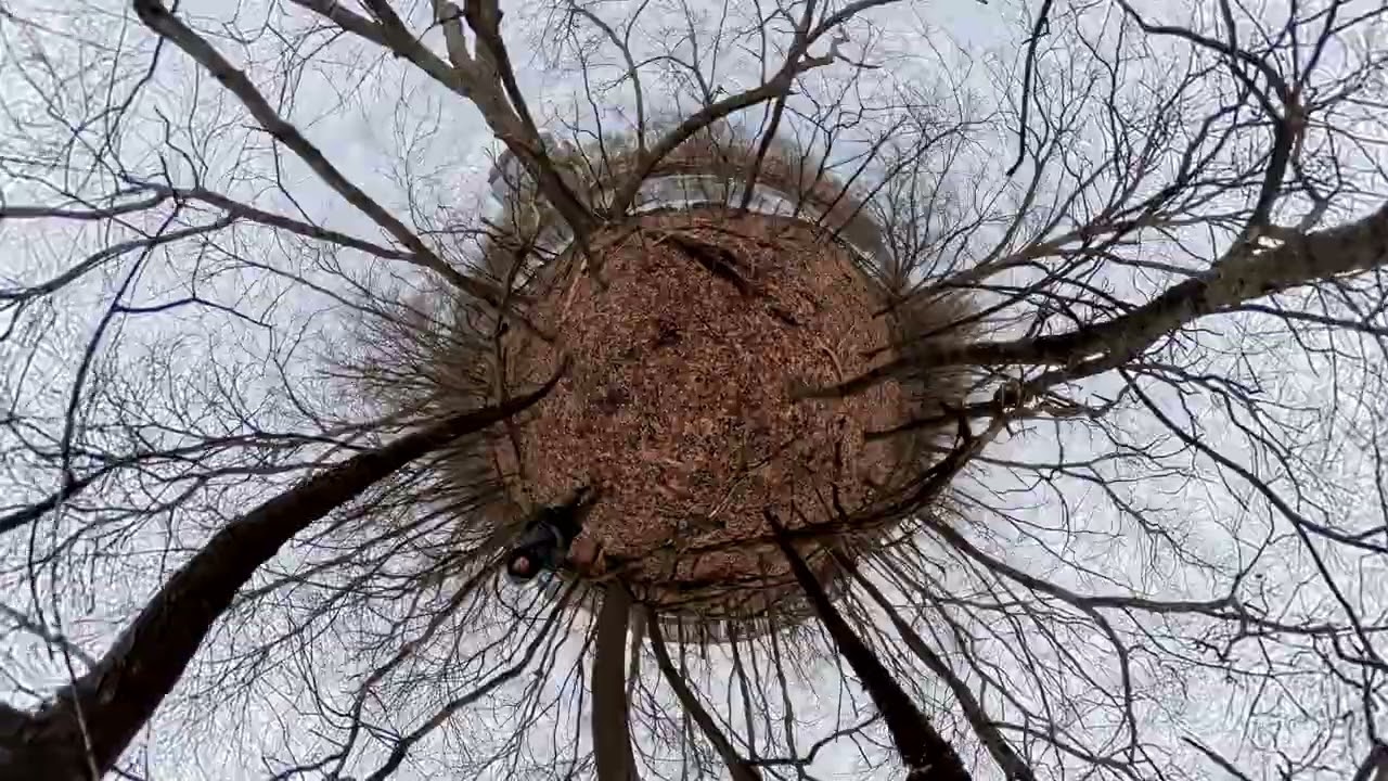 Charles River Abattoir, Jan 2026 #11 (360-degree LITTLE PLANET) 4K