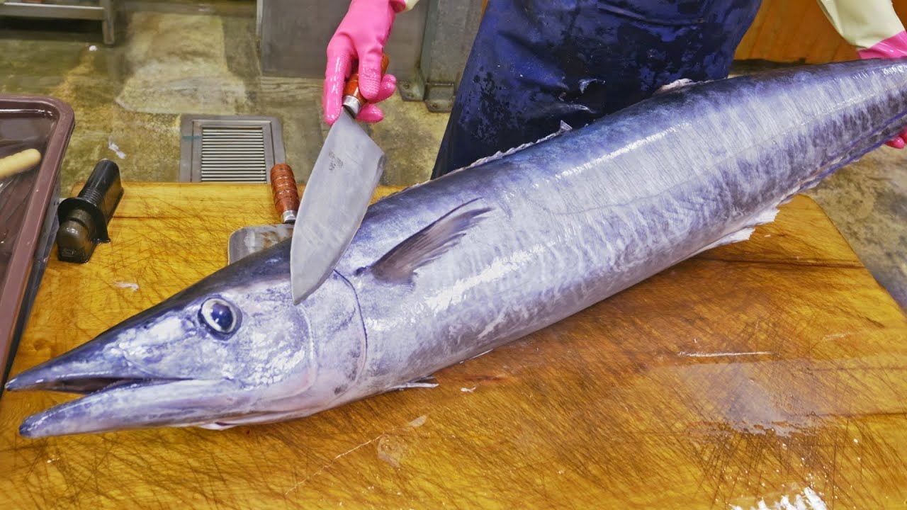 Amazing Sea Traps！Catch Fish with Fixed Nets,  Wahoo Fish Cutting Skills/驚人的海洋寶庫！長濱定置漁場魚類捕撈, 石喬魚切割技巧