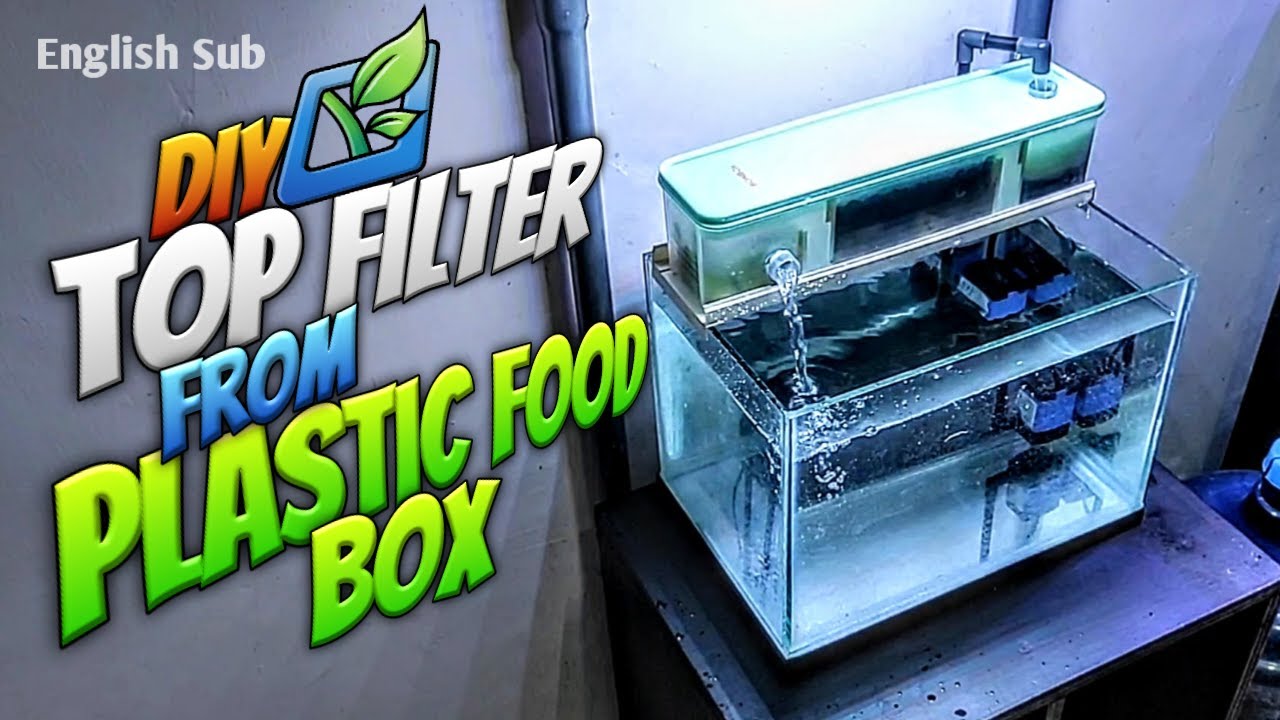 Membuat Top Filter Aquarium dari Toples Plastik Kotak