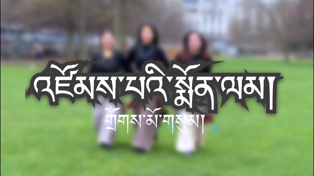 #tibetan #losar #paris འཛོམས་པའི་སྨོན་ལམ། པེ་རིས་ནས་གྲོགས་མོ་གསུམ། 