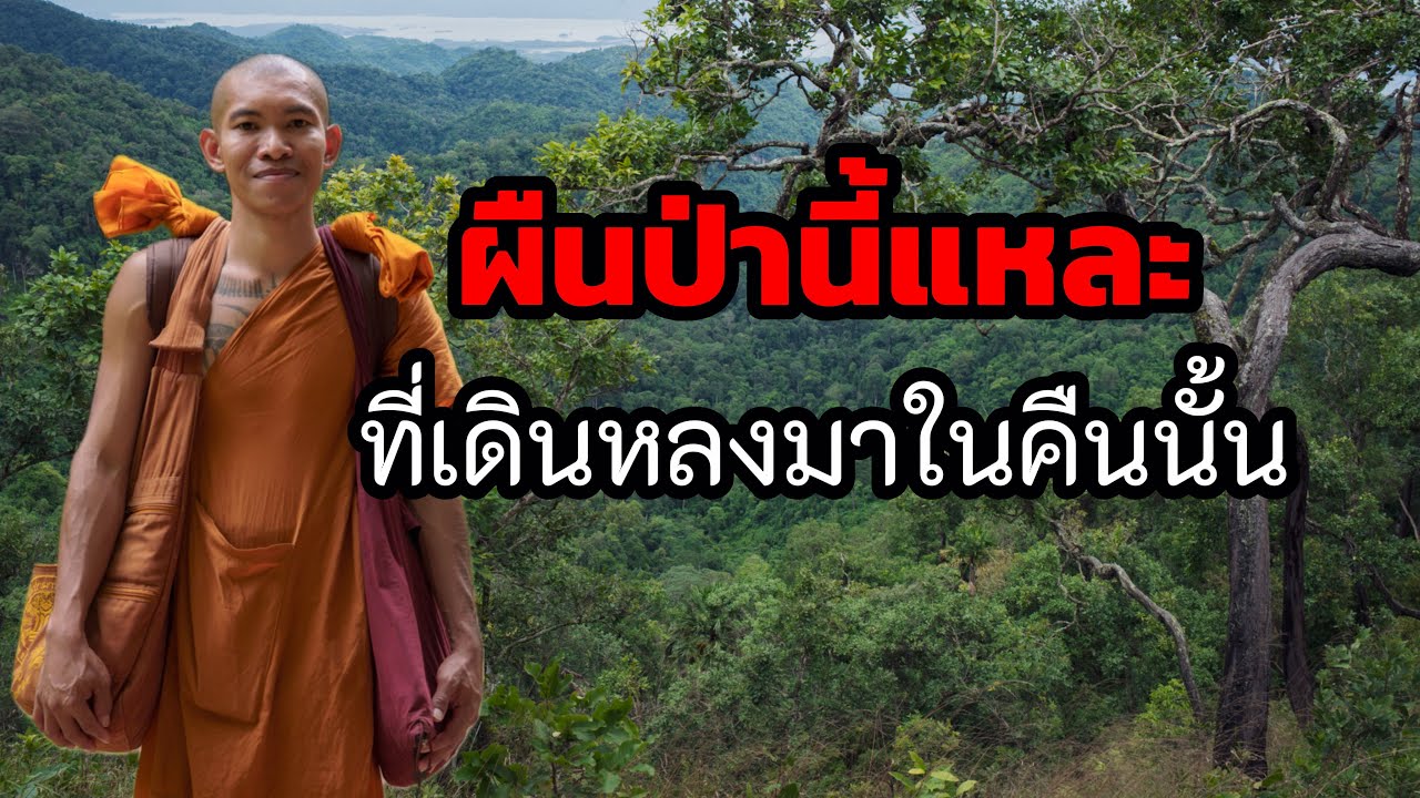 ตามรอยป่า ในคืนนั้นที่หลงทางในป่าลึก เจอรอยเลือดในถ้ำเยอะมาก ป่ารก สัตว์ชุกชุม ต้องเดินระวังสุดๆ 