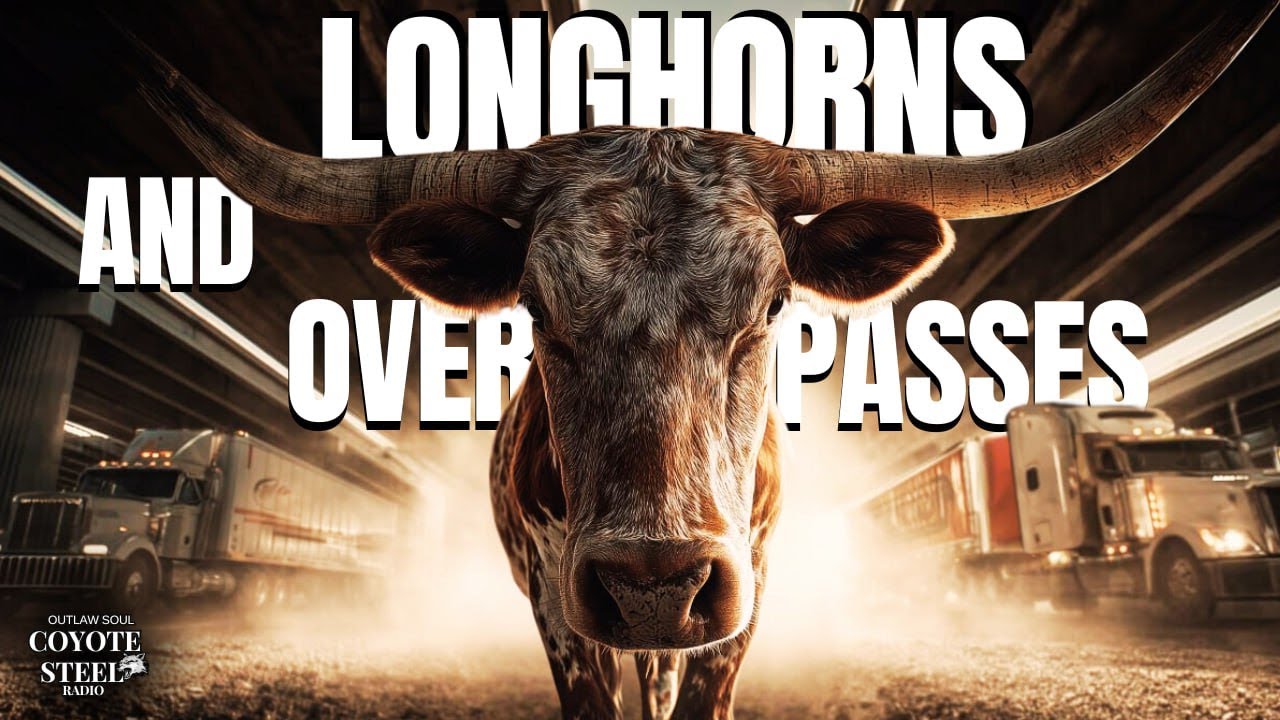 Longhorns and Overpasses &ndash; Texas Southern Rock &ndash; Modern Texas Highway Song