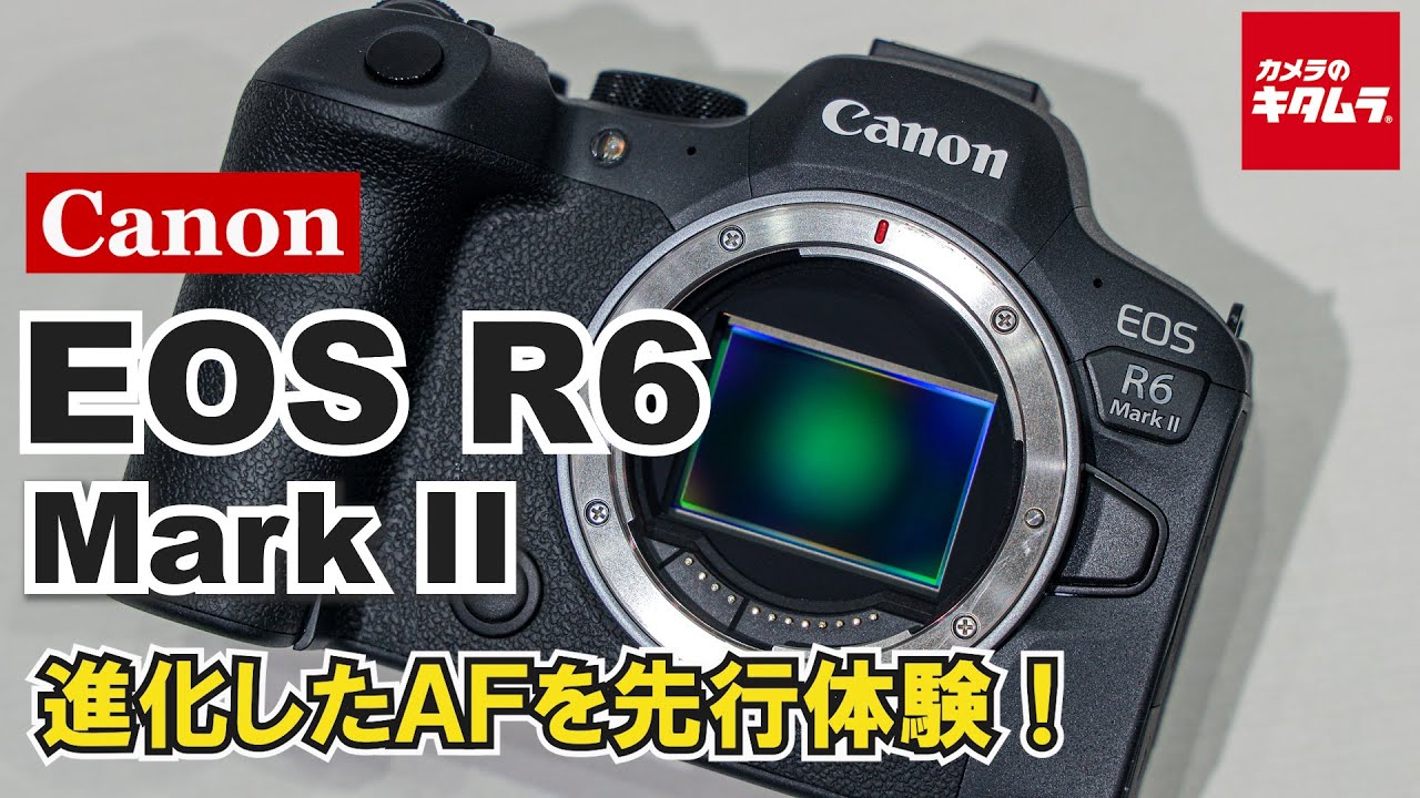 キヤノン EOS R6 Mark IIを先行体験！ ～EOS R6と比較しながら被写体検出やAF追従性能も試してきました！～