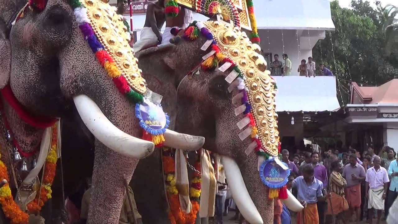 Thechikottukavu Ramachandran Mass Entry - Cheeram Kulangara Pooram