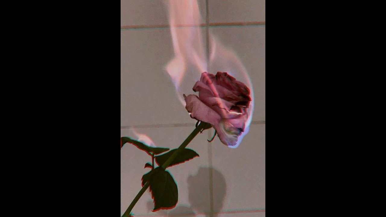 (VENDIDO) Pumapjl X Sain X Febre 90s Type Beat - 
