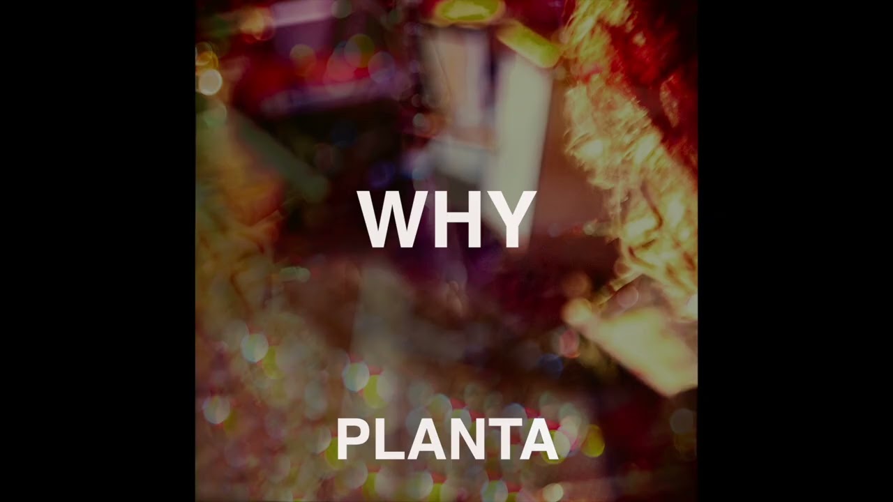 Planta – Why (Official Audio)