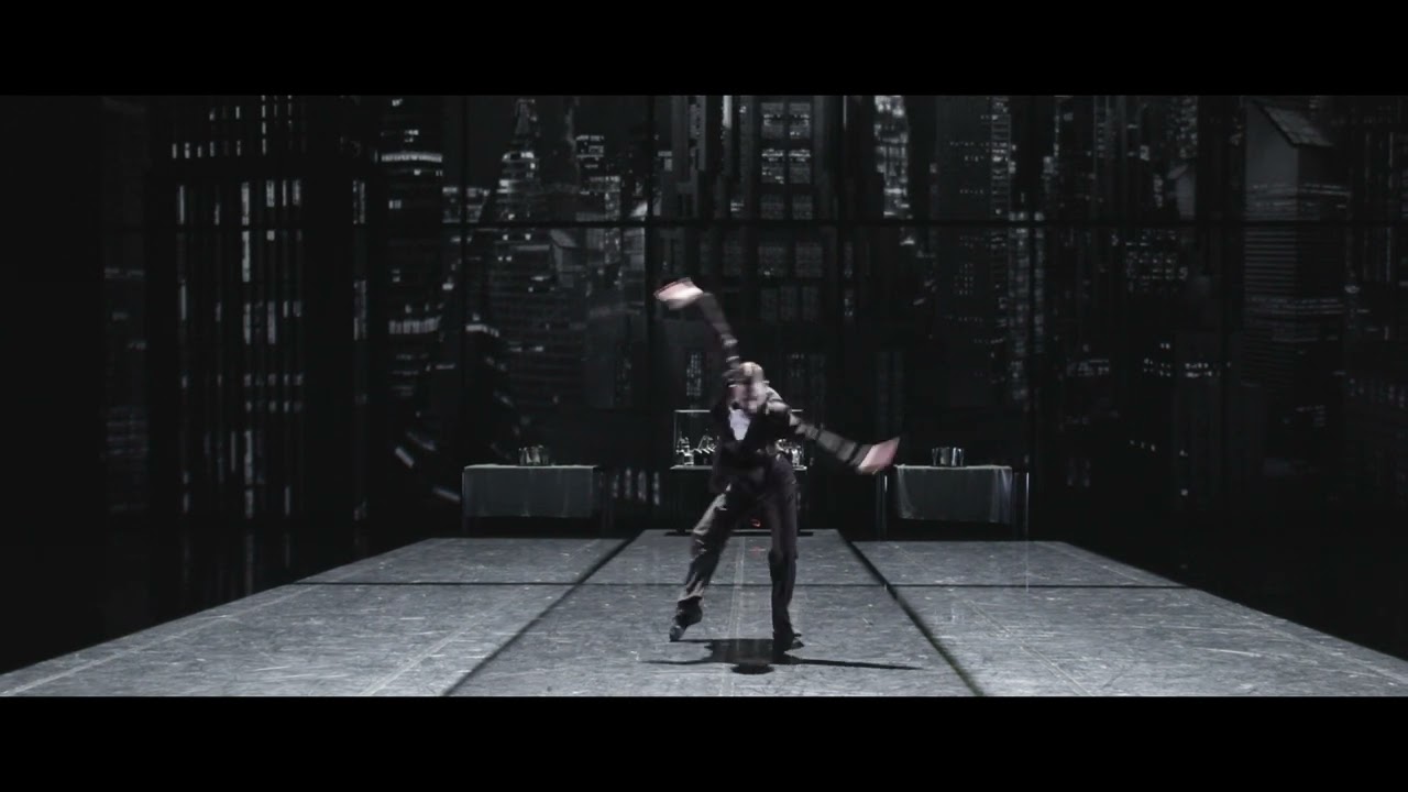 LE LAC DES CYGNES - BALLET PRELJOCAJ