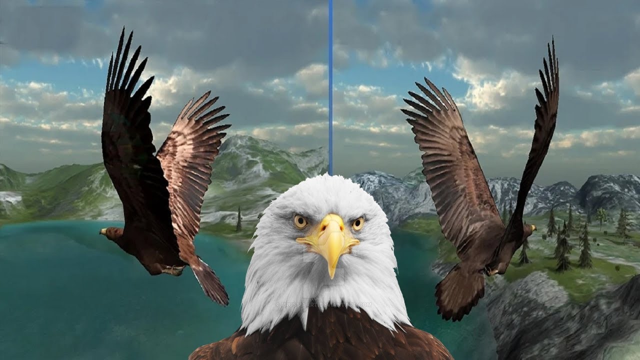 Eagle Hunting Journey&rlm; - Eagle Simulator - Gameplay