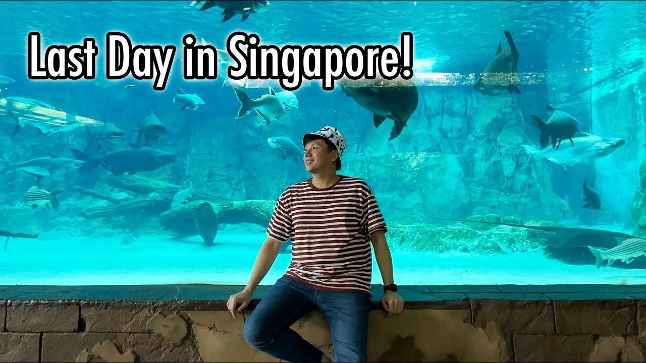 Last Day in Singapore! (Singapore Zoo, River Wonders, Night Safari, etc.)