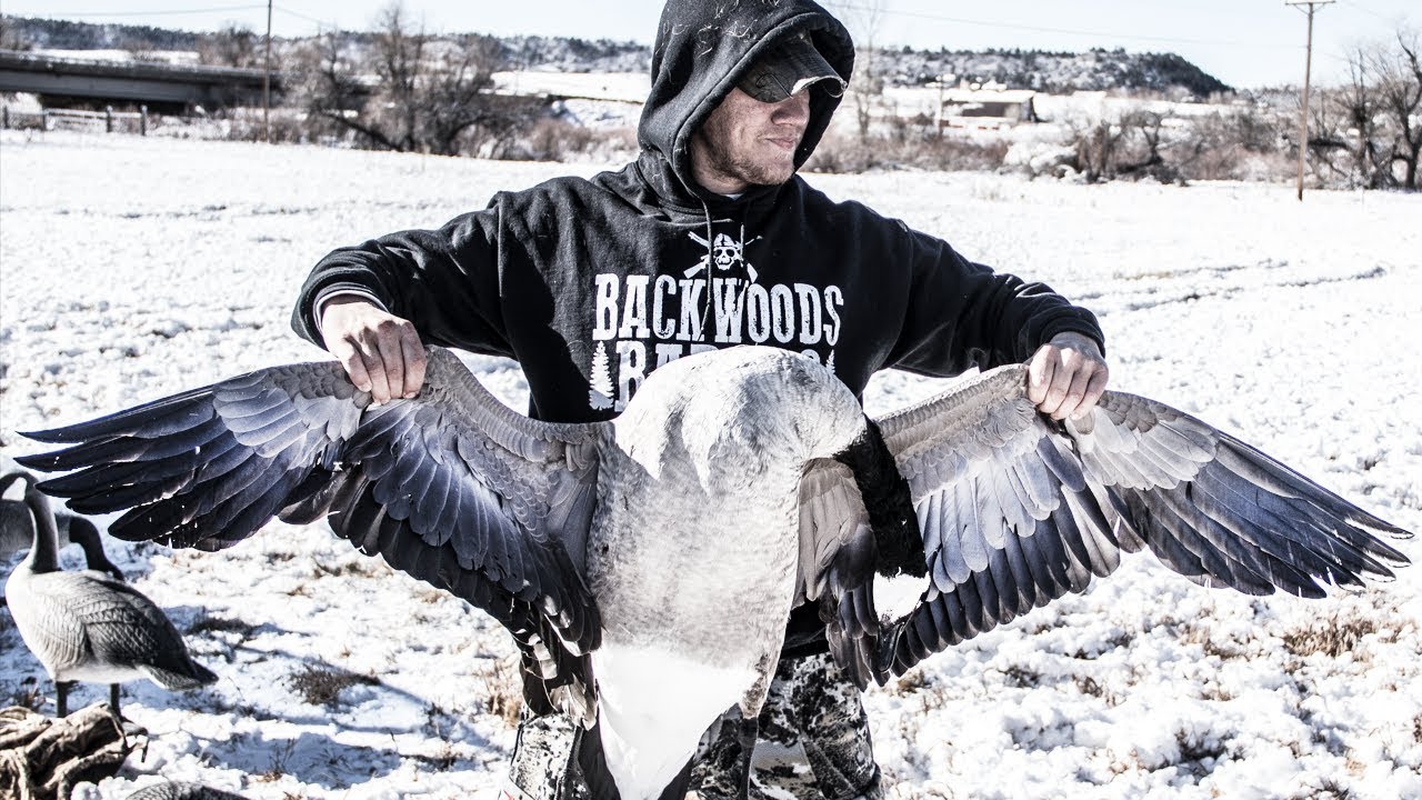 CANADA GOOSE (Catch Clean Cook)