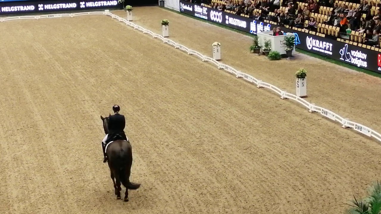 Lone Bang Larsen, Herning 2020