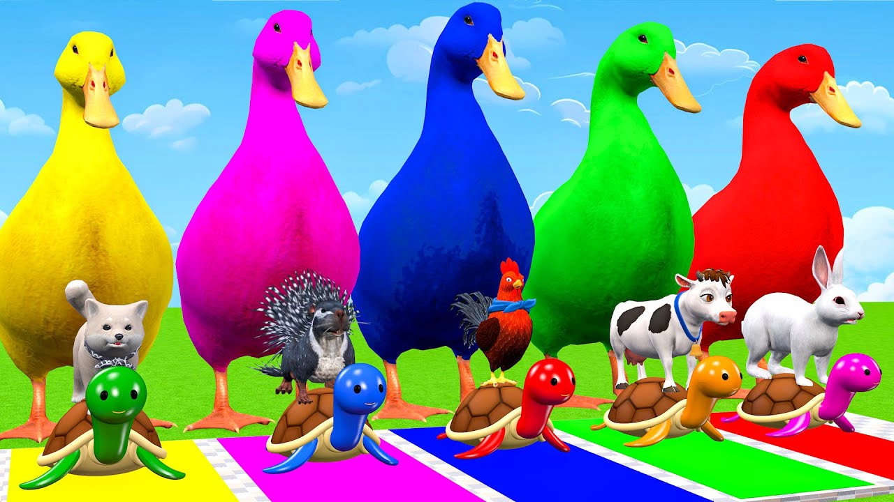 5 Giant Duck Cartoon,Cow,Elephant,Tiger,Lion,Gorilla, Paint Wild Animals Crossing Fountain Animation