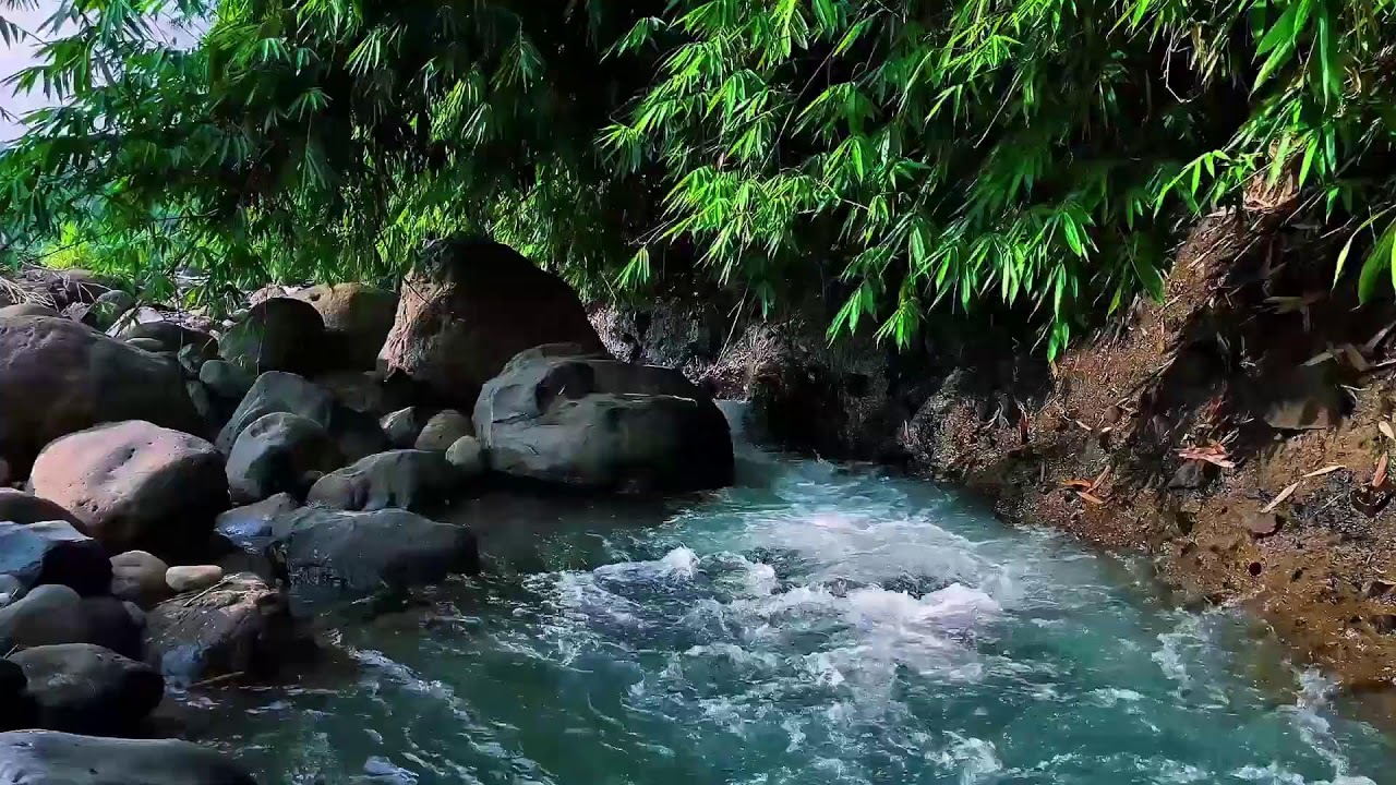 Gentle Stream Around River Stones – Relaxing Water Sounds for Deep Sleep