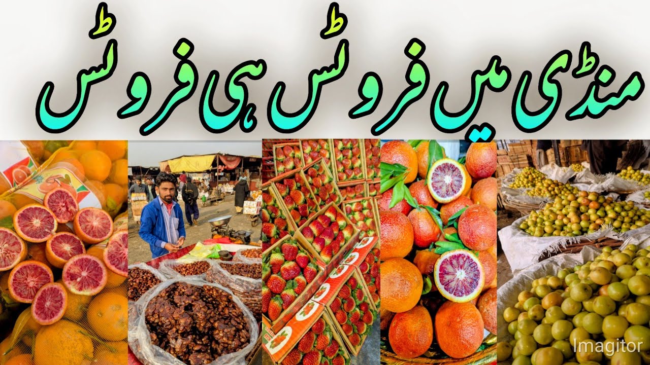 Fresh Fruits Prices Today | Demand & Supply Shock 😱 | Quality Comparison + Expert Market Analysis |